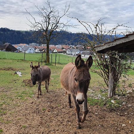 Rutschi Ferienwohnung Sumiswald Bagian luar foto