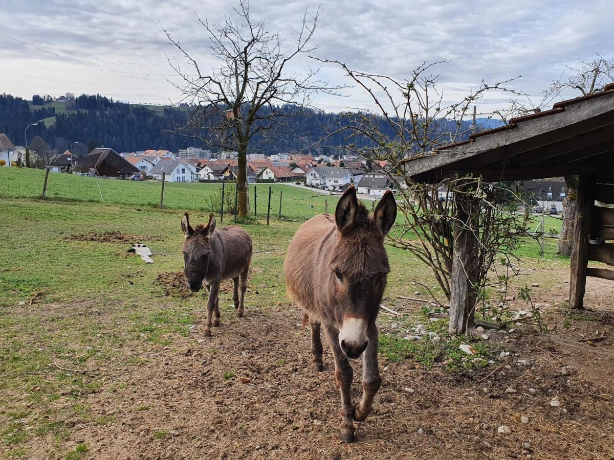 Rutschi Ferienwohnung Sumiswald Bagian luar foto